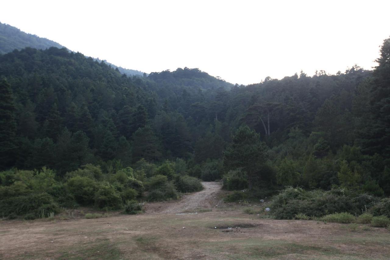 Hamiti Camping Center Dukat Exteriör bild