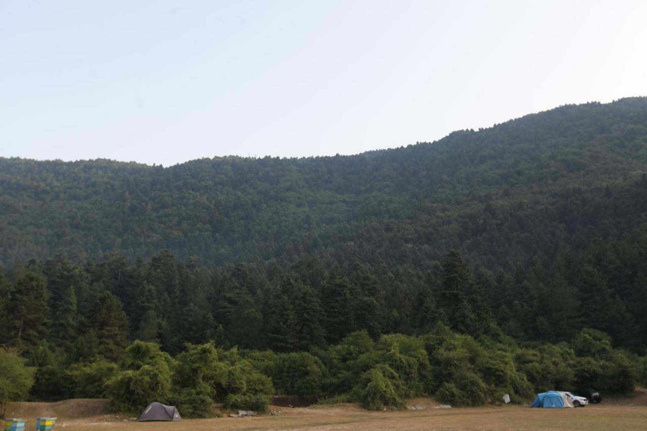 Hamiti Camping Center Dukat Exteriör bild